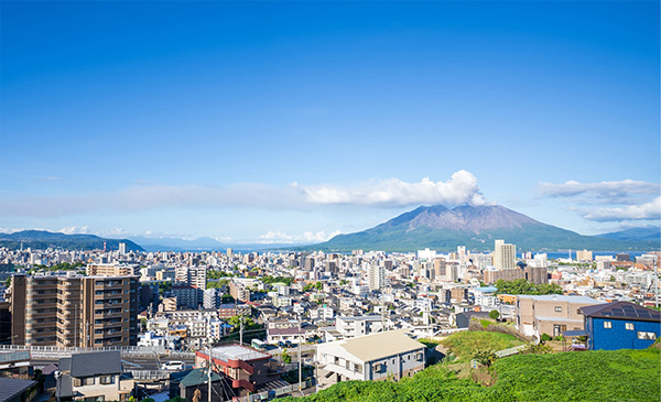 地域密着型